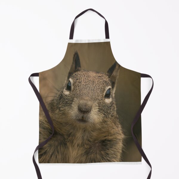 Item preview, Squirrel designed and sold by williamsrdan.