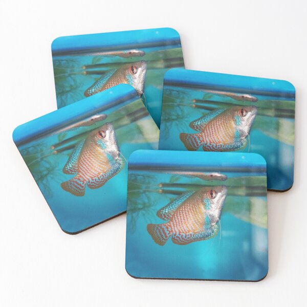Item preview, Dwarf Gourami designed and sold by Tavo04rodriguez.
