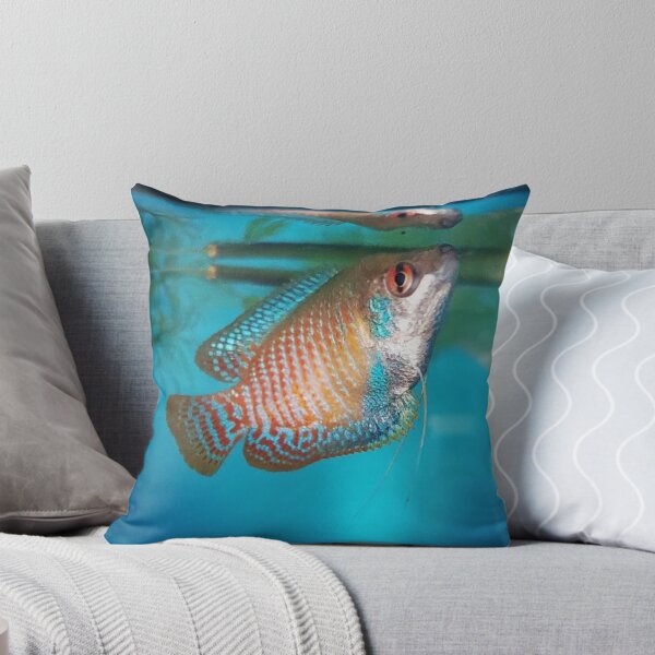 Item preview, Dwarf Gourami designed and sold by Tavo04rodriguez.