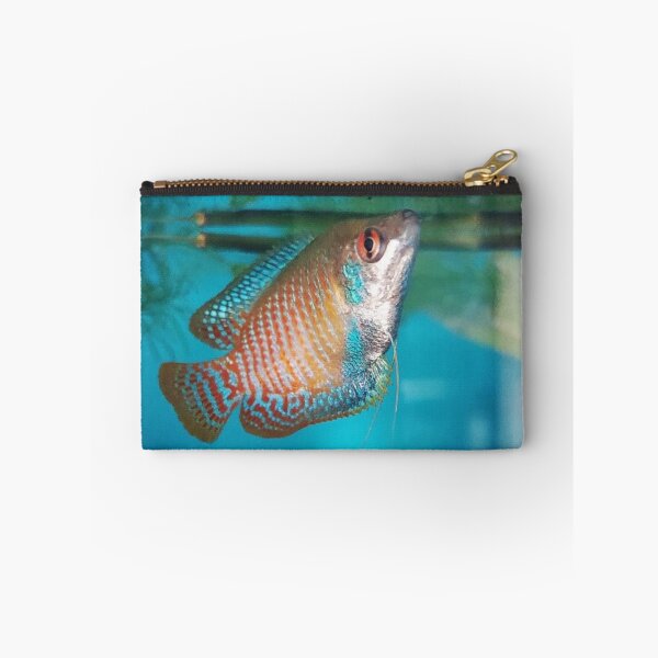 Item preview, Dwarf Gourami designed and sold by Tavo04rodriguez.
