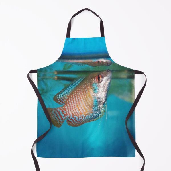 Item preview, Dwarf Gourami designed and sold by Tavo04rodriguez.