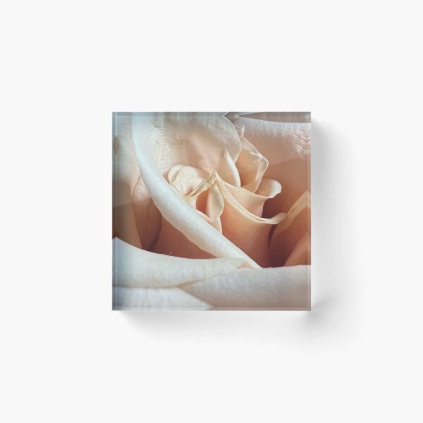 Item preview, Peach Rose designed and sold by Abeink1030.