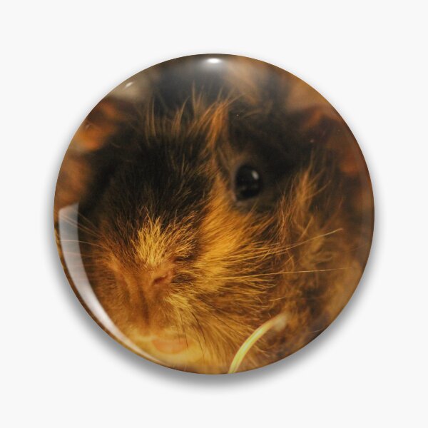 Item preview, Guinea Pig  designed and sold by Emipea.