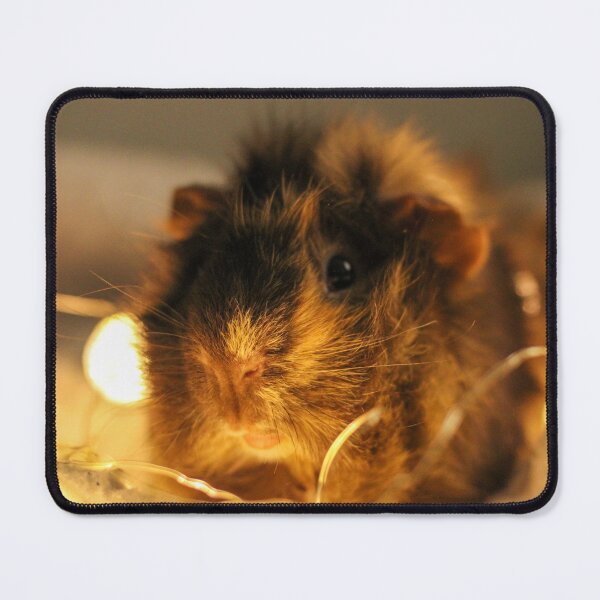 Item preview, Guinea Pig designed and sold by Emipea.