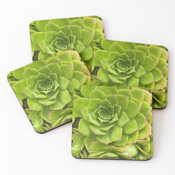 Item preview, Succulent Buddies  designed and sold by AmazedGrace.