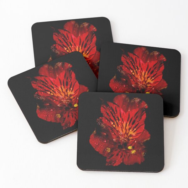 Item preview, Red flower with water droplets designed and sold by FallenTrickster.
