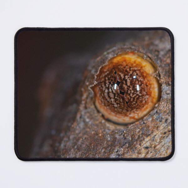 Item preview, The Eye of Uroplatus garmaso designed and sold by Mark D. Scherz.