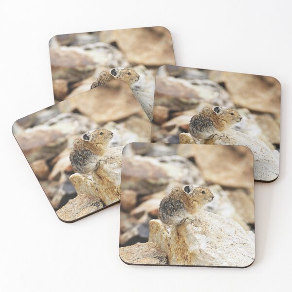 Item preview, A Perched Pika designed and sold by amogulskier.
