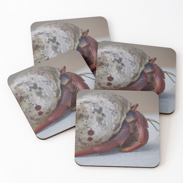 Item preview, Hermit Crab designed and sold by TaguArtsy.