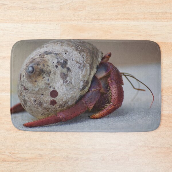 Item preview, Hermit Crab designed and sold by TaguArtsy.