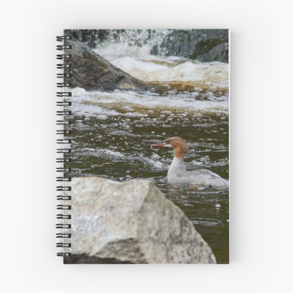 Item preview, Wet nose company. Common merganser designed and sold by Jouko Lehto Photography.