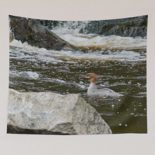 Item preview, Wet nose company. Common merganser designed and sold by Jouko Lehto Photography.