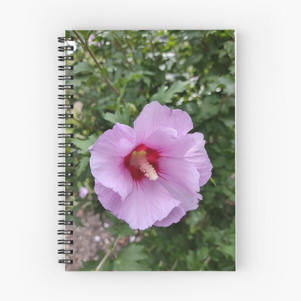 Item preview, Hibiscus syriacus, rose of sharon designed and sold by Crafty Fox & Art Panda ♥️.