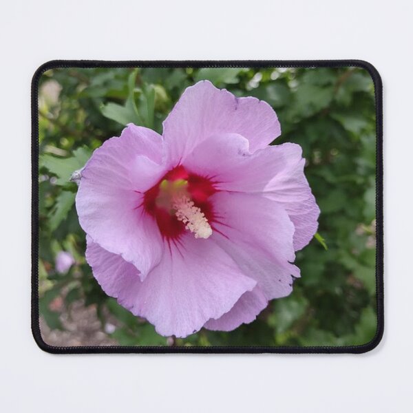 Item preview, Hibiscus syriacus, rose of sharon designed and sold by Crafty Fox & Art Panda ♥️.