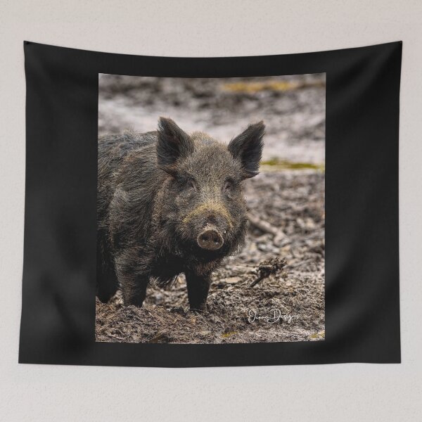 Item preview, Wild Pig  designed and sold by oceandesignsfx.