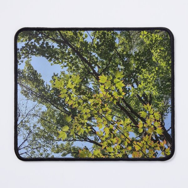 Item preview, the trees changing into autumn leaves designed and sold by Crafty Fox & Art Panda ♥️.