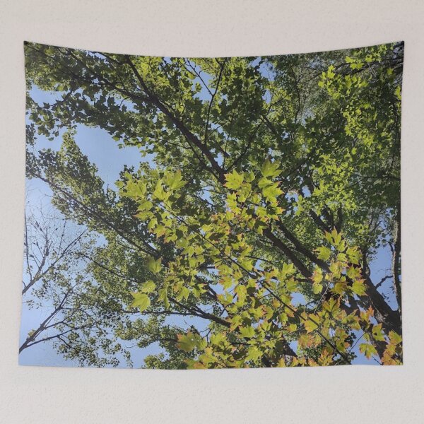 Item preview, the trees changing into autumn leaves designed and sold by Crafty Fox & Art Panda ♥️.