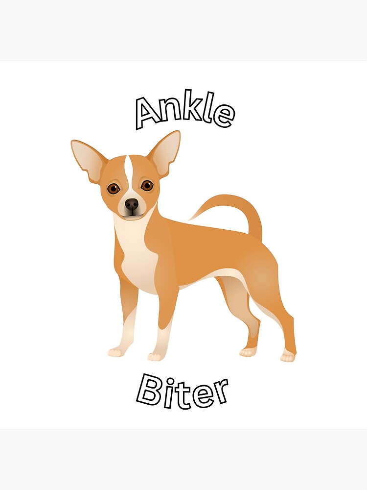 Chihuahua Ankle Biter Poster for Sale by DoubleDownRB