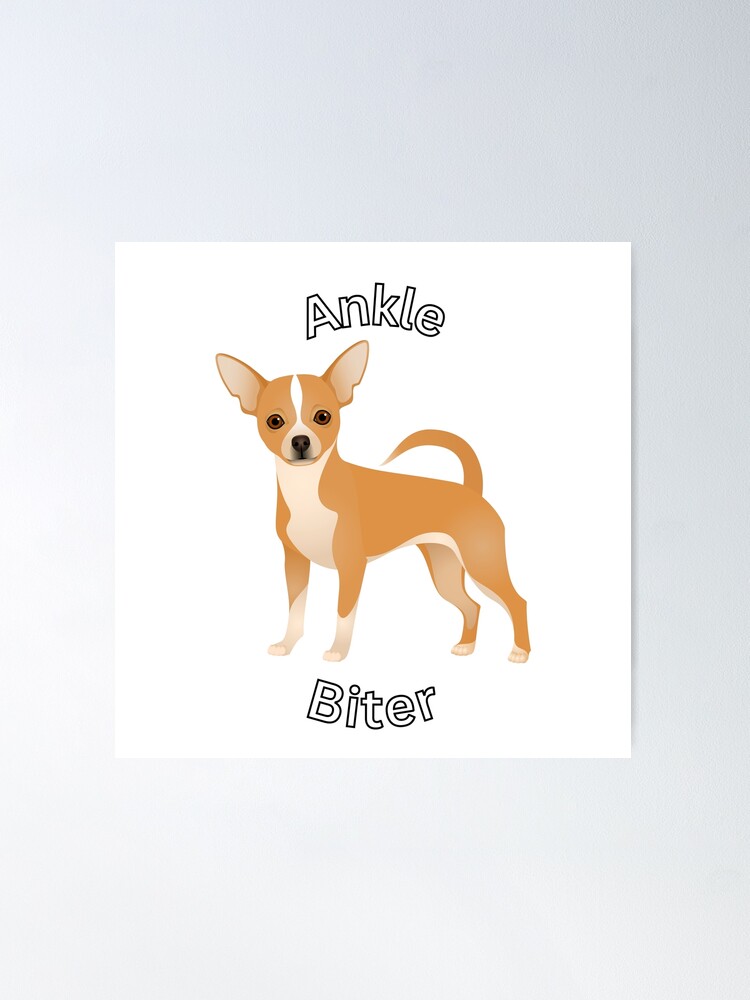 Chihuahua Ankle Biter | Poster