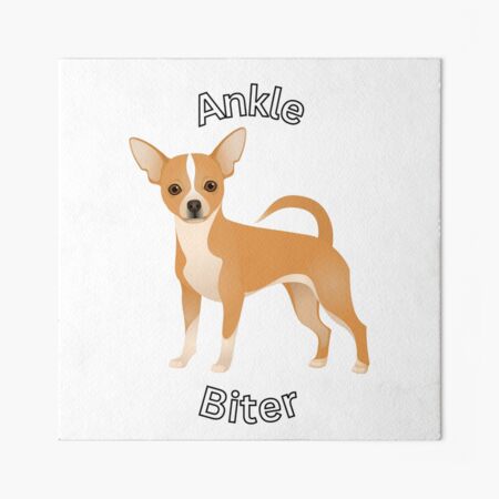 Ankle Biter - Chihuahua - Posters and Art Prints