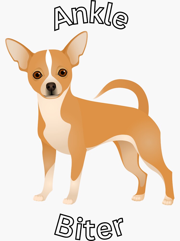 Chihuahua Dog Ankle Biter Beanie