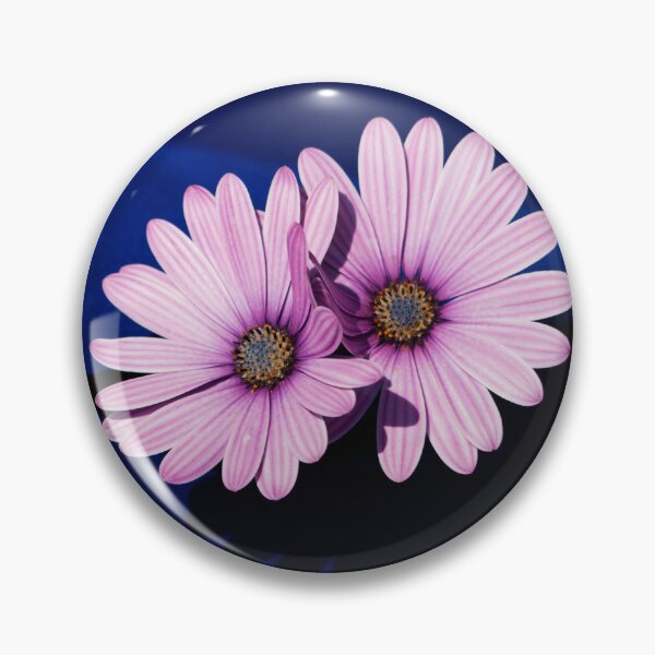 Item preview, Pink Osteospermum designed and sold by GingerMan2550.