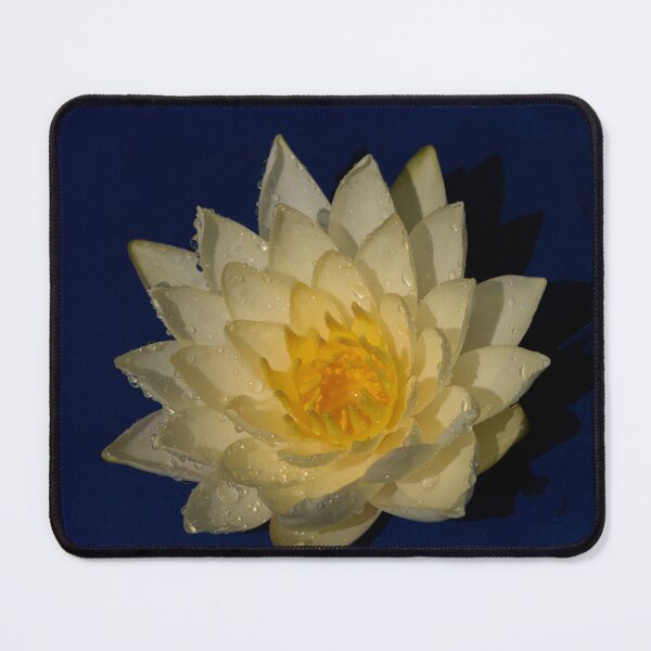 Item preview, Yellow Water Lily designed and sold by GingerMan2550.