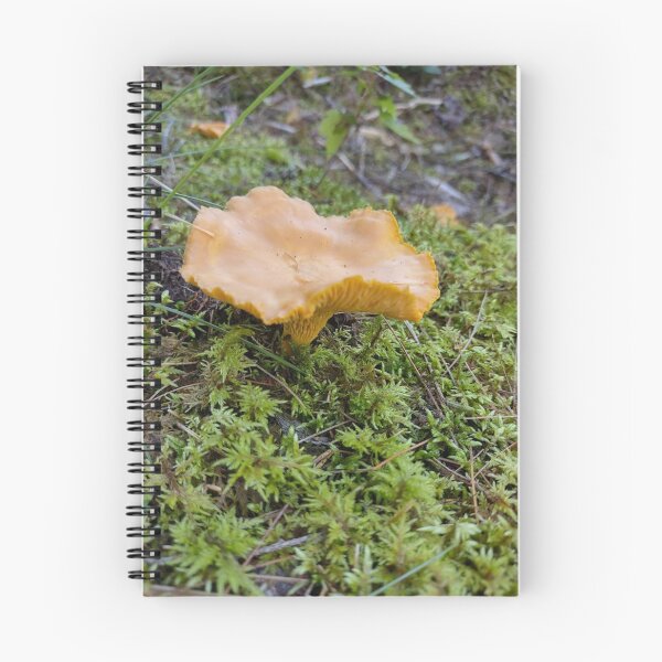 Item preview, cantharellus cibarius fungus closeup designed and sold by Crafty Fox & Art Panda ♥️.