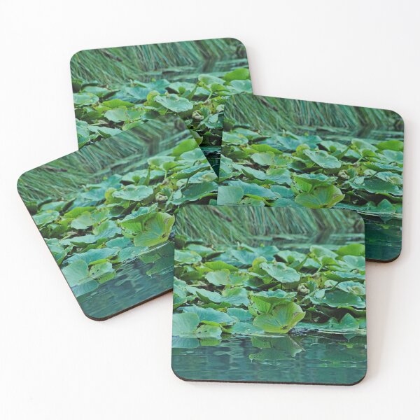 Item preview, Waterlily Foliage Lake Water Aquatic Plants designed and sold by worldways.