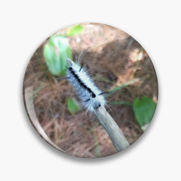 Item preview, hickory tussock moth caterpillar on a branch designed and sold by Crafty Fox & Art Panda ♥️.