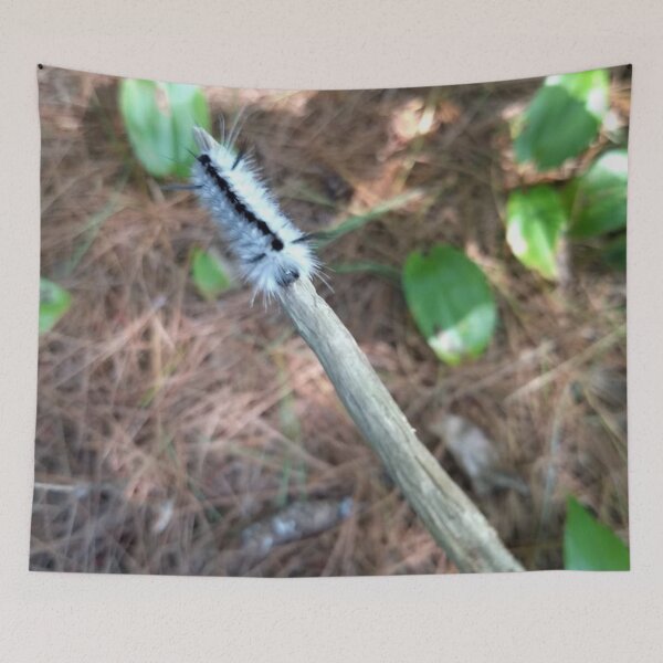 Item preview, hickory tussock moth caterpillar on a branch designed and sold by Crafty Fox & Art Panda ♥️.