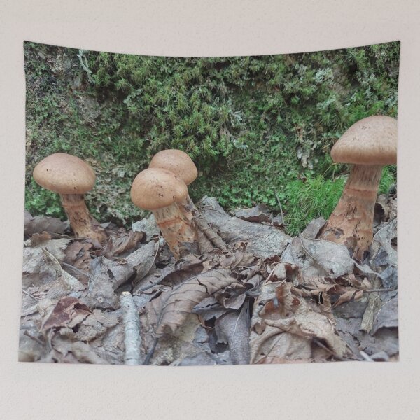 Item preview, Cortinarius rubellus fungus designed and sold by Crafty Fox & Art Panda ♥️.
