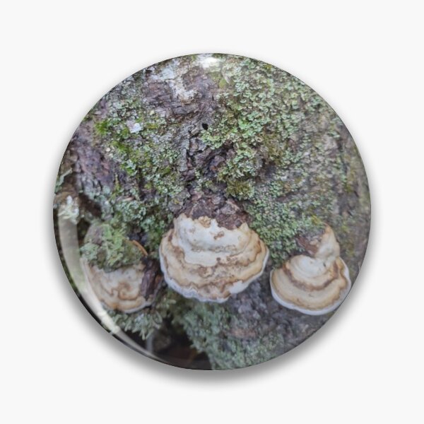 Item preview, moss maze polypore growing along a mossy tree designed and sold by Crafty Fox & Art Panda ♥️.
