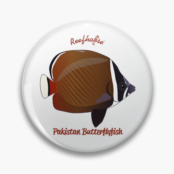Item preview, Pakistan Butterflyfish designed and sold by KaplanCrypto.