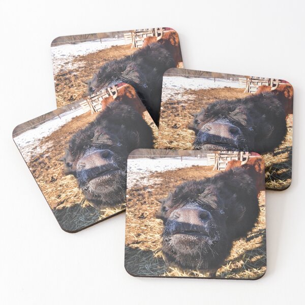 Item preview, Cara de ternero dexter llena de leche designed and sold by scleverfarm.