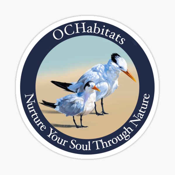 Royal and Elegant Terns (2022) OC Habitats Sticker
