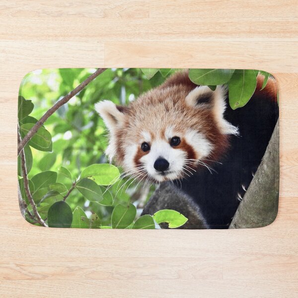 Item preview, Red Panda face designed and sold by Mark Grimsley.