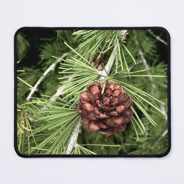 Item preview, Pine cone  designed and sold by scleverfarm.