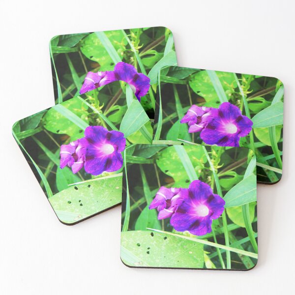 Item preview, Common Morning Glory designed and sold by gistinker.