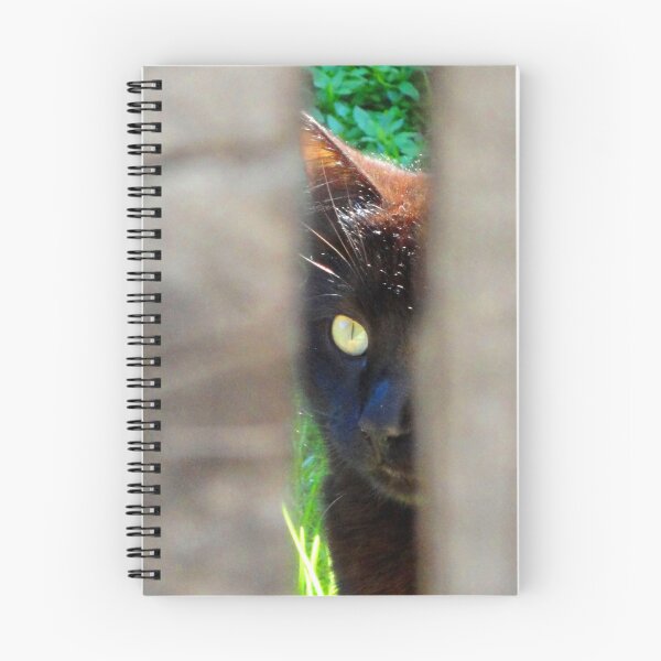 Item preview, ANIMALS #104 - Black Cat - Unflinching Concentration designed and sold by DEL-Productions.