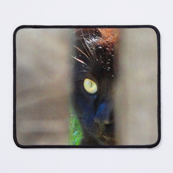 Item preview, ANIMALS #104 - Black Cat - Unflinching Concentration designed and sold by DEL-Productions.