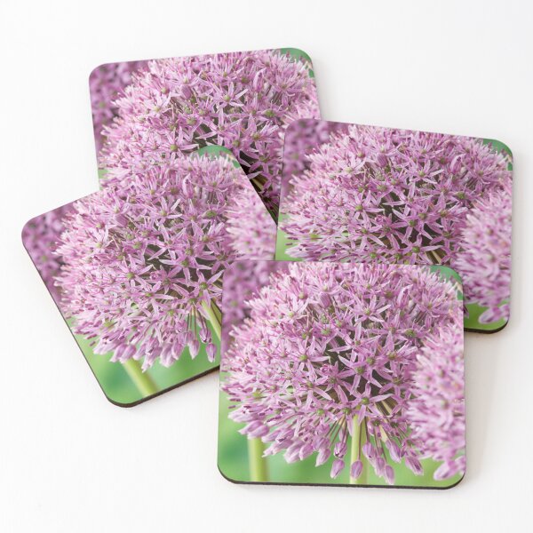 Item preview, Allium stipitatum  'Mars'  designed and sold by Chris Burrows.