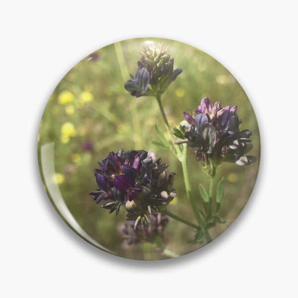 Item preview, Alfalfa flowers designed and sold by scleverfarm.
