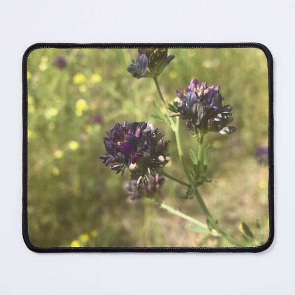 Item preview, Alfalfa flowers designed and sold by scleverfarm.