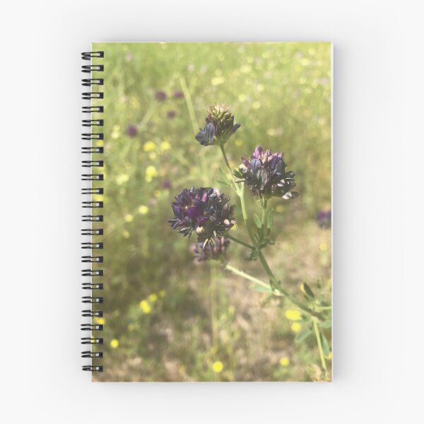 Item preview, Alfalfa flowers designed and sold by scleverfarm.