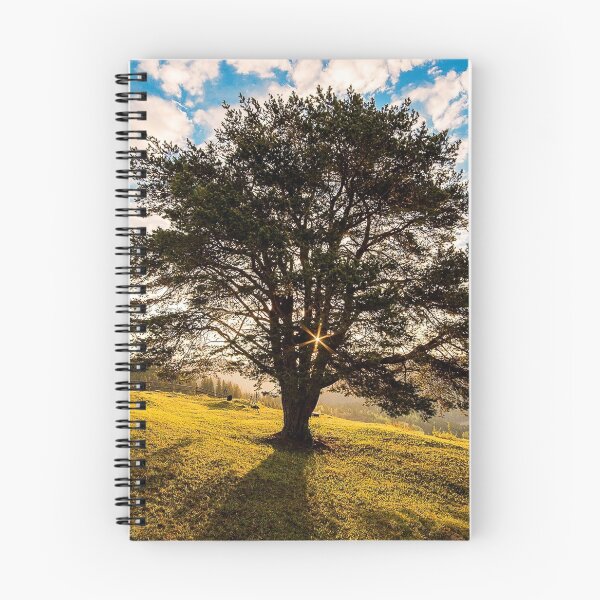 Item preview, FLORA #33 - Tree on Hillside in Campulung, Romania designed and sold by DEL-Productions.