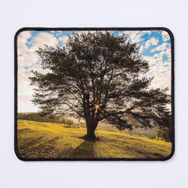 Item preview, FLORA #33 - Tree on Hillside in Campulung, Romania designed and sold by DEL-Productions.