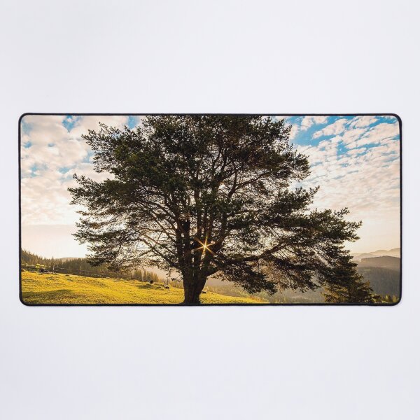 Item preview, FLORA #33 - Tree on Hillside in Campulung, Romania designed and sold by DEL-Productions.