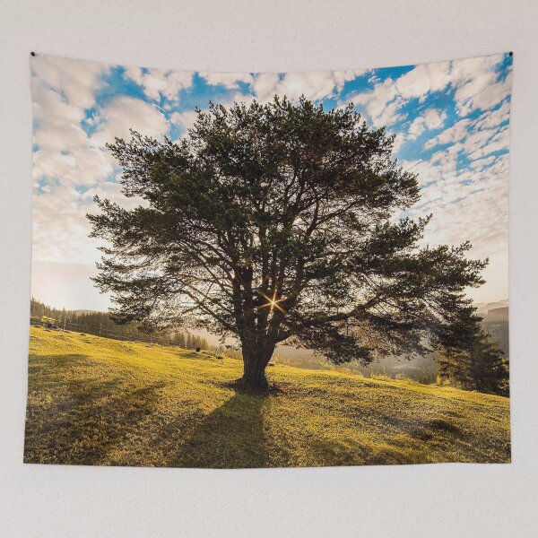 Item preview, FLORA #33 - Tree on Hillside in Campulung, Romania designed and sold by DEL-Productions.
