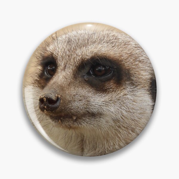 Item preview, Meerkat giving a look designed and sold by Mark Grimsley.